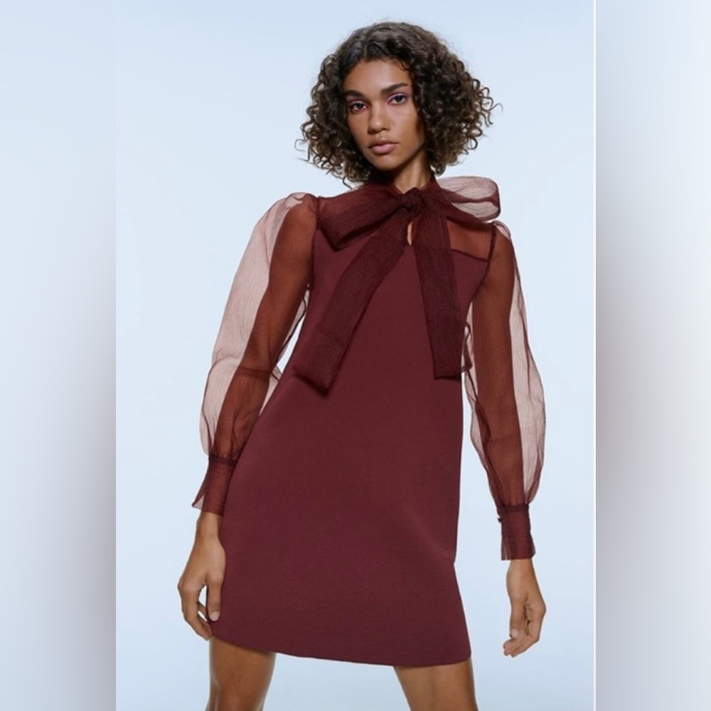 Zara Burgundy Mini Dress with Sheer Sleeves